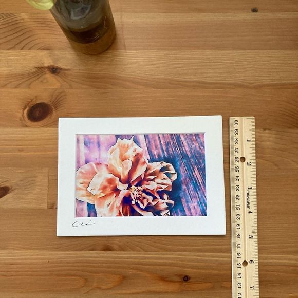 New Original Signed Photography Color Hibiscus - Picture 4 of 5